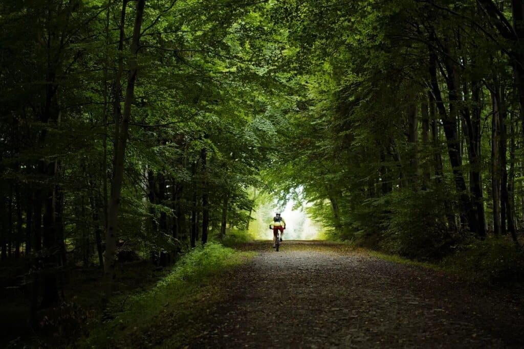 Terug naar de koers #2 | Nog steeds twijfels